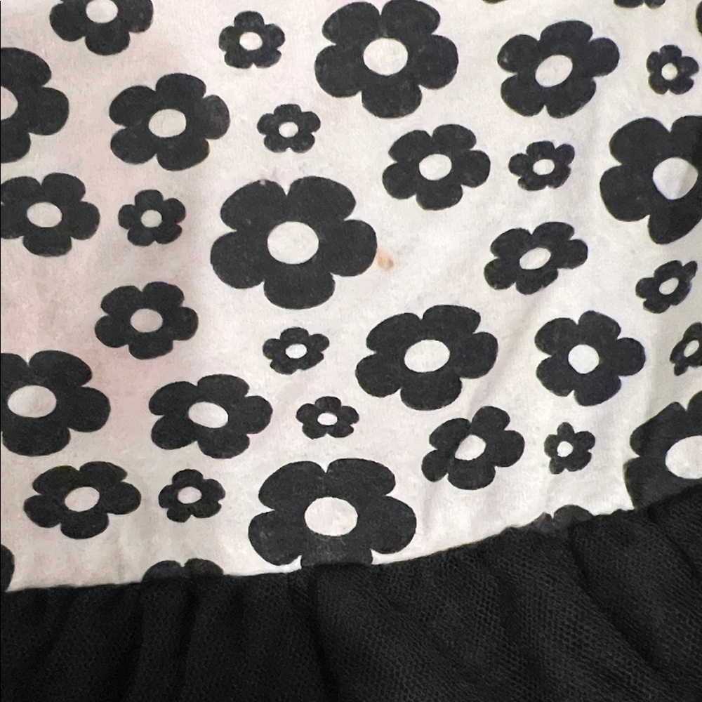 Good🎉 Condition FLAPADOODLES Floral Long Sleeve Dress with Black Tulle Skirt, 2T - Picture 11 of 13